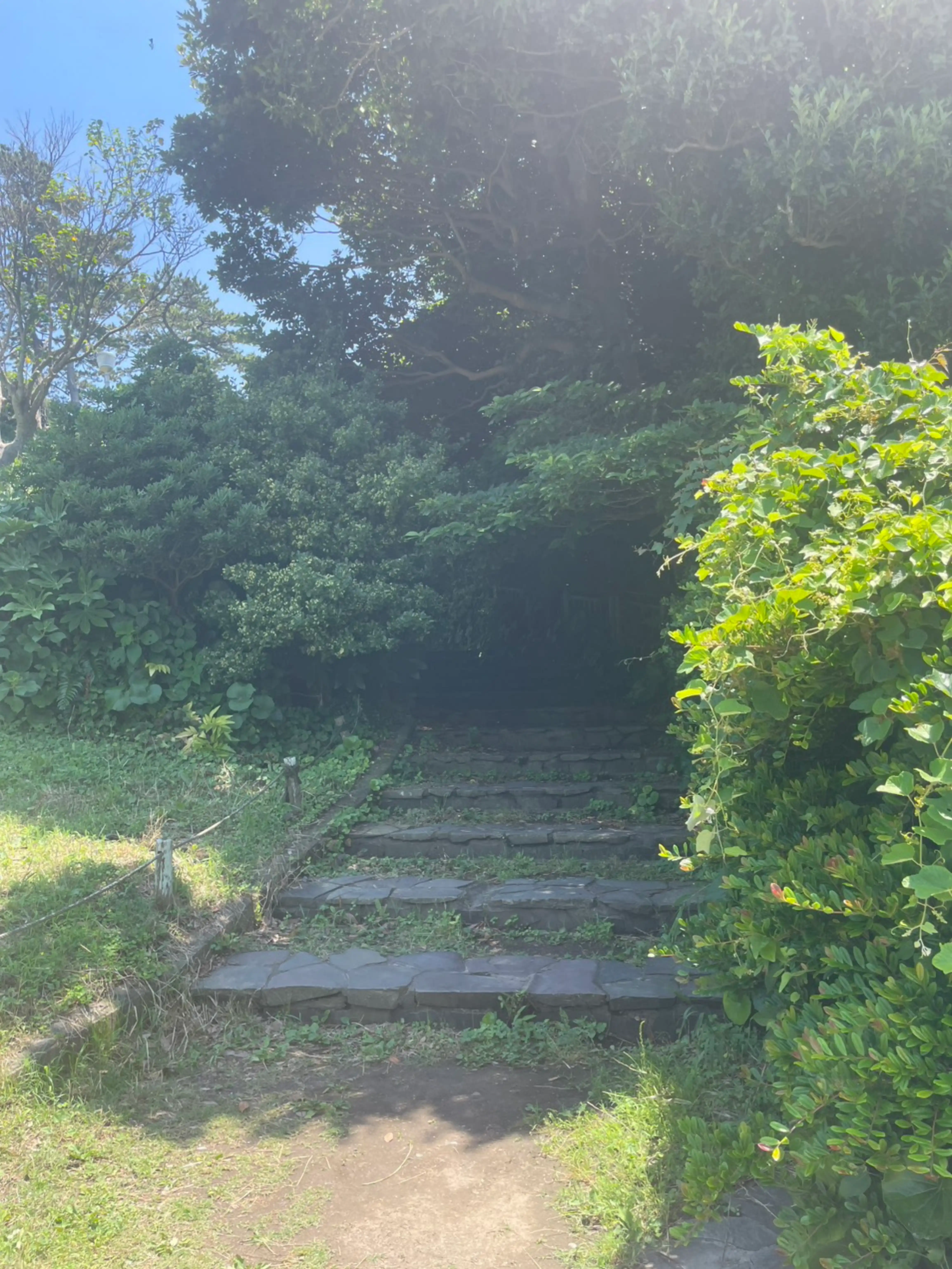 レタッチサービス