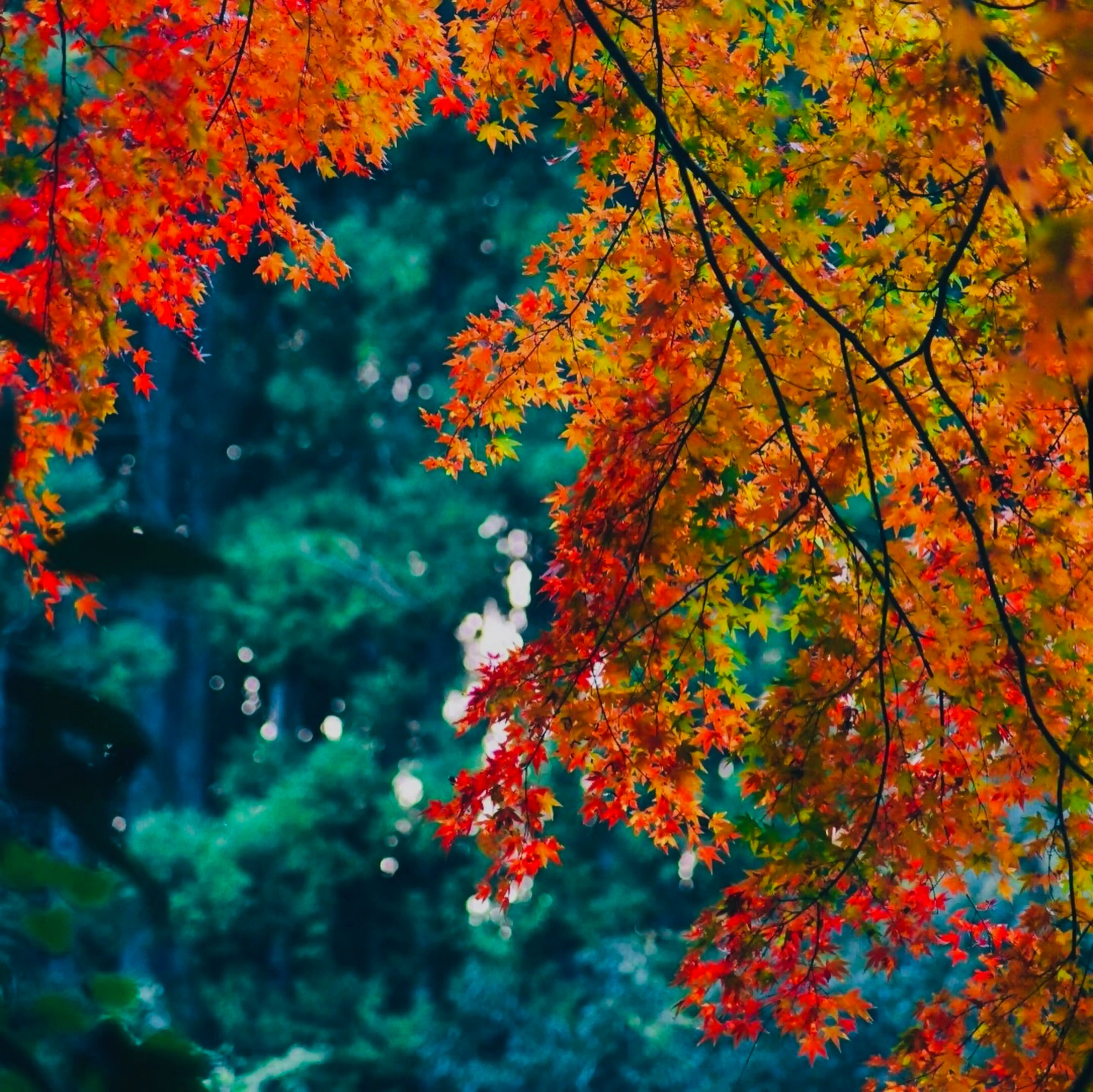 レタッチサービス